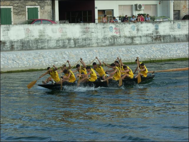 brzinska (15)